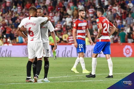 El Sevilla celebra el tanto anotado en Los Cármenes (Foto: JM Baldomero)