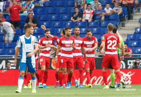 Los jugadores del Granada celebran uno de los goles anotados en el RCDE Stadium (LA LIGA)