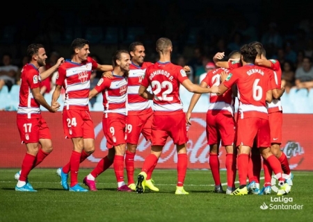 Los jugadores del Granada celebran uno de los goles anotados en `Balaidos` esta tarde (LIGA SANTANDER)