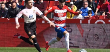 El Granada quiere llegar a las semifinales de la Copa del Rey (JOSÉ M. BALDOMERO) El Granada quiere llegar a las semifinales de la Copa del Rey (JOSÉ M. BALDOMERO)