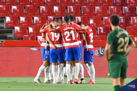 Los jugadores del Granada CF celebran un tanto (JOSÉ M. BALDOMERO)