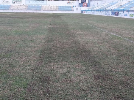 Cesped del Escribano Castilla (AYTO. MOTRIL)