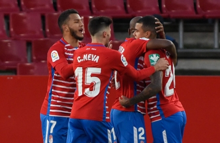 Los jugadores del Granada celebran el gol de Kenedy al filo del descanso (JOSÉ M. BALDOMERO)