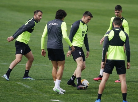 La plantilla del Granada realizó ayer una sesión de recuperación (PEPE VILLOSLADA / GCF)