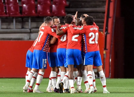 Los jugadores del Granada CF celebran el primer tanto del partido (JOSÉ M. BALDOMERO)