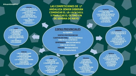 Formato de la nueva copa provincial (RFAF) 