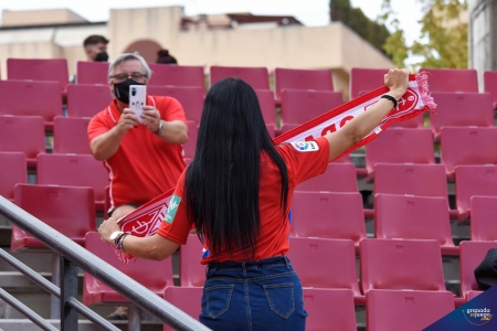 Unos 11.000 abonados podrán presenciar el Granada - Betis en el `Nuevo Los Cármenes` (JOSÉ M. BALDOMERO)