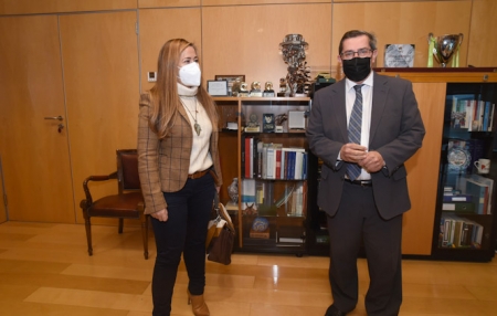 Imagen de la reunión (R. MARTÍNEZ / DIPGRA)