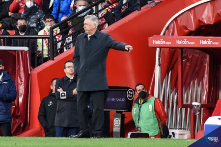 Carlo Ancelotti, durante el partido en el `Nuevo Los Cármenes` (JOSÉ M. BALDOMERO)
