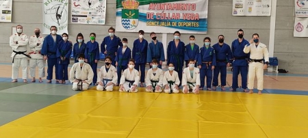 Judokas que han participado en el entrenamiento (AYTO. CÚLLAR VEGA)