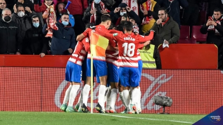 Los jugadores del Granada celebran el primer tanto de Puertas ante el Alavés (JOSÉ M. BALDOMERO)