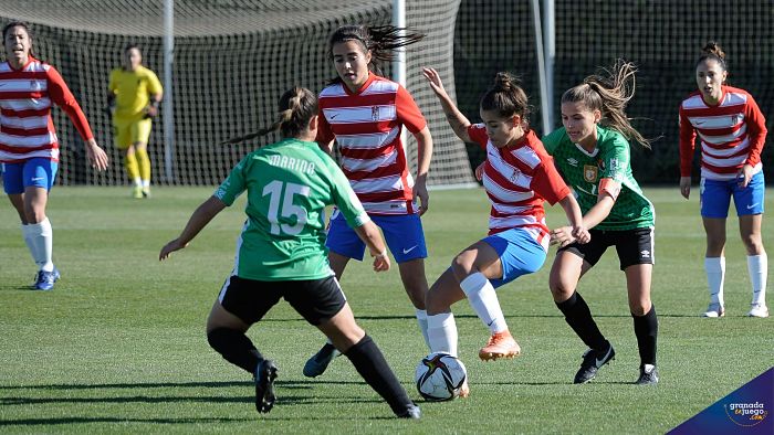 El Granada Femenino no jugará este fin de semana por casos positivos en el Madrid CFF B (JOSÉ M. BALDOMERO) El Granada Femenino no jugará este fin de semana por casos positivos en el Madrid CFF B (JOSÉ M. BALDOMERO)