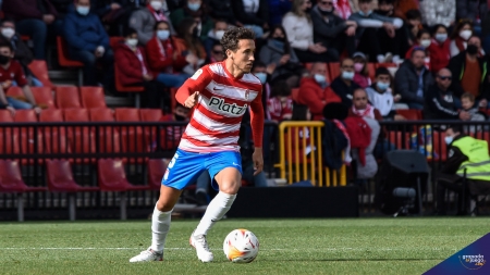 Luis Milla, durante el último partido del Granada ante Osasuna (JOSÉ M. BALDOMERO)