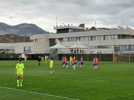 Las jugadoras del Granada Femenino celebran el segundo tanto contra el Pozoalbense en la Ciudad Deportiva (FRAN CALVO)