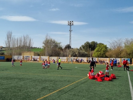 VI Baby Cup celebrada en Cúllar Vega (AYTO. CÚLLAR VEGA)