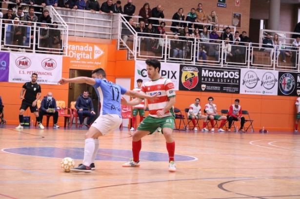 El Sima Granada tiene opciones de luchar por el ascenso (SIMA GRANADA) 