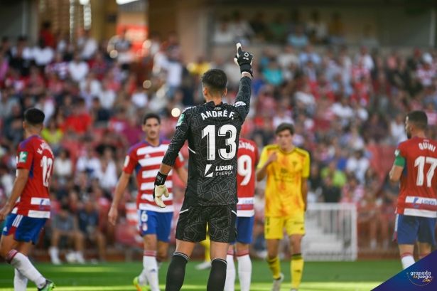 André Ferreira da indicaciones a sus compañeros durante el partido contra el Mirandés (JOSÉ M. BALDOMERO)