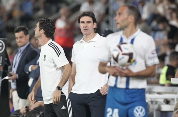 Aitor Karanka, durante el encuentro ante el Tenerife en el `Heliodoro` (LALIGA)