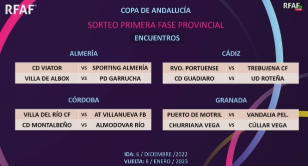 Semifinales de la Copa provincial (RFAF) 