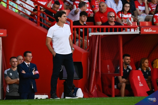 Aitor Karanka deja de ser entrenador del Granada (JOSÉ M. BALDOMERO)