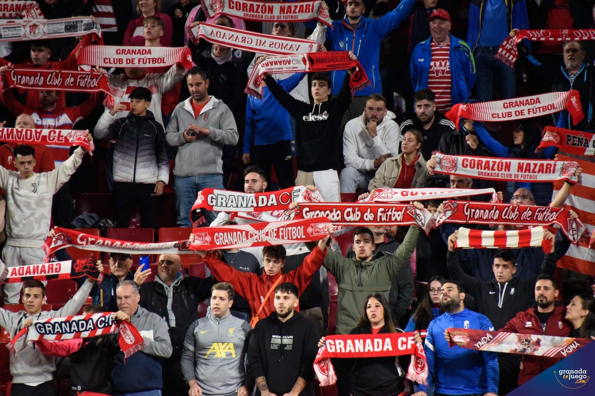 Aficionados del Granada en las gradas del `Nuevo Los Cármenes` durante un anterior partido (JOSÉ M. BALDOMERO) Aficionados del Granada en las gradas del `Nuevo Los Cármenes` durante un anterior partido (JOSÉ M. BALDOMERO)