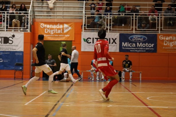 (SIMA GRANADA)