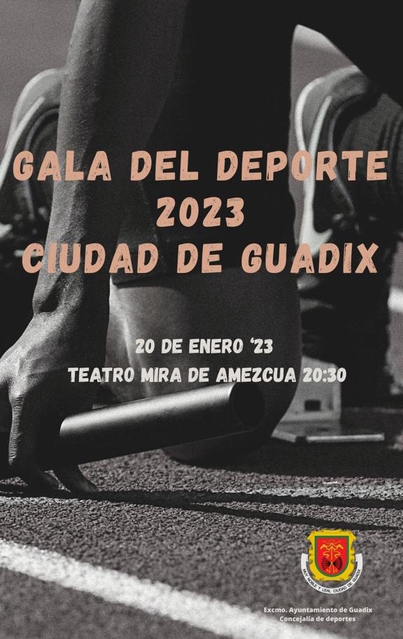 (AYUNTAMEINTO GUADIX)