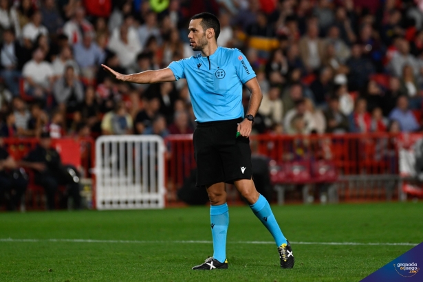 González Francés, en `Los Cármenes` durante el Granada - Zaragoza (JOSÉ M. BALDOMERO)