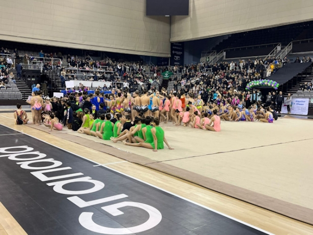 Gimnasia rítmica en el Palacio de los Deportes (AYTO. GRANADA)