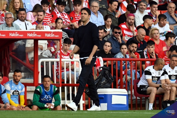 Íñigo Vélez, entrenador del CD Lugo, en un momento del encuentro (JOSÉ M. BALDOMERO)
