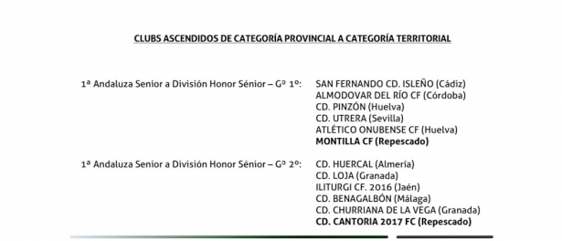 Equipos ascendidos de Primera Andaluza a División de Honor (RFAF)