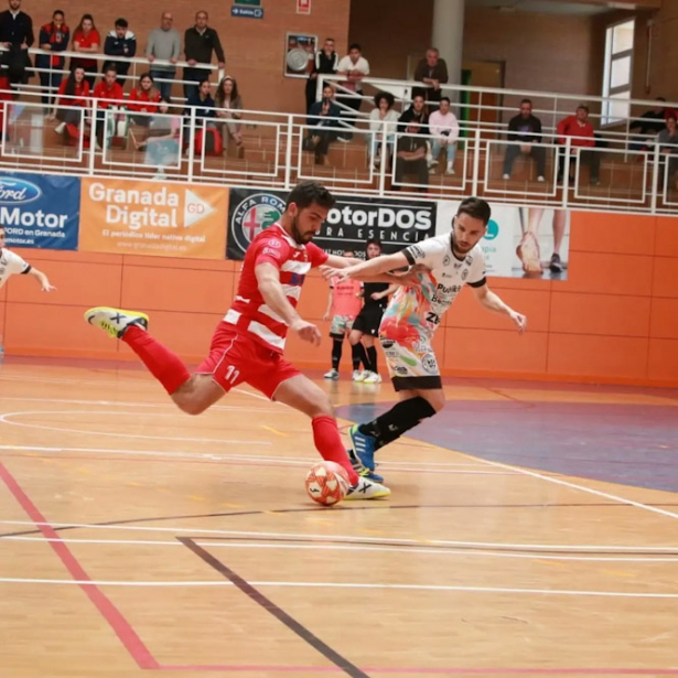 El Sima Granada volverá a la competición el 16 de septiembre (SIMA GRANADA)