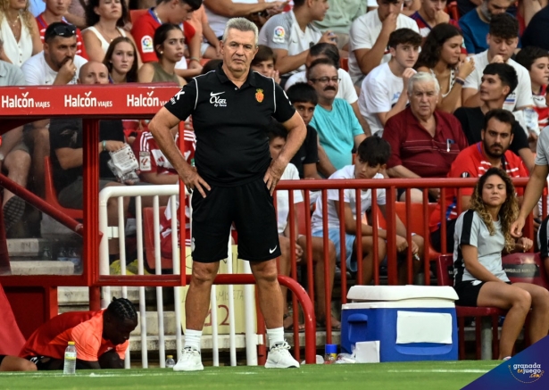 Javier Aguirre, entrenador del Real Mallorca, en un momento del encuentro (JOSÉ M. BALDOMERO)