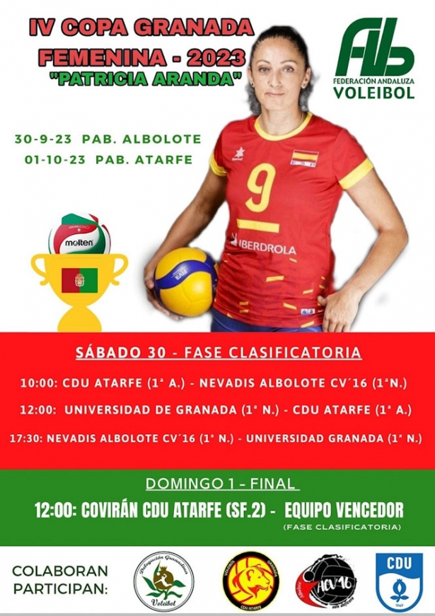 (VOLEIBOL GRANADA)