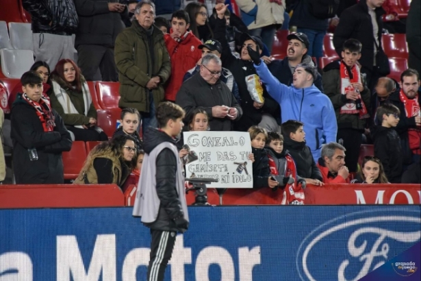 Afición del Granada CF en el partido ante el Atlético de Madrid (JOSÉ M. BALDOMERO) 