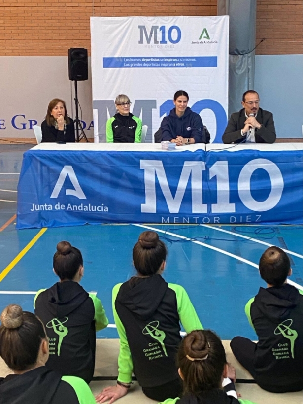 Programa Mentor 10 (JUNTA) 