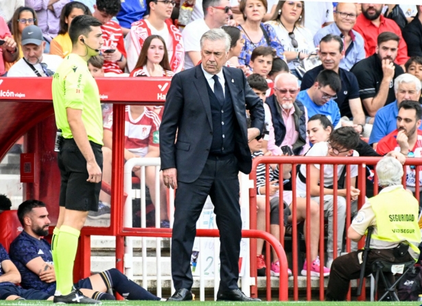 Carlo Ancelotti, entrenador del Real Madrid, en un momento del partido ante el Granda CF (JOSÉ M. BALDOMERO)