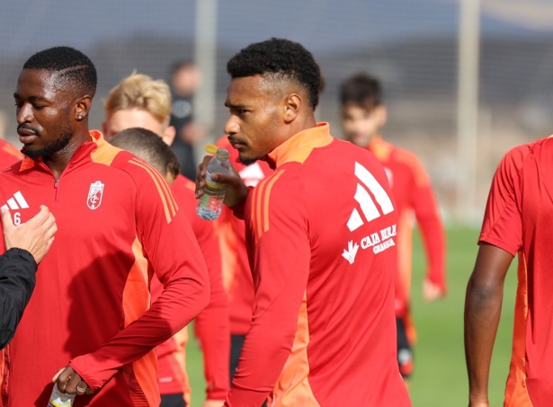 Williams se perderá los próximos encuentros (J. AZCOYTIA)