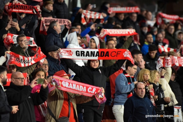 La afición podrá seguir el partido a través de la televisión (JOSÉ M. BALDOMERO)