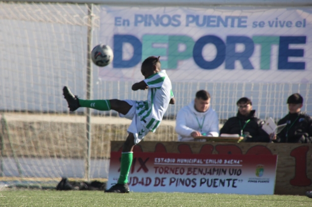 (AYTO. PINOS PUENTE)
