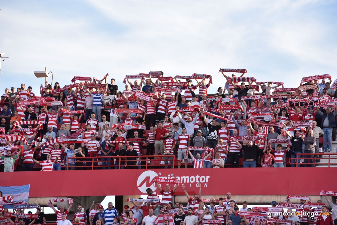 El Valladolid pondrá a prueba el nivel del Granada (J.M. BALDOMERO) El Valladolid pondrá a prueba el nivel del Granada (J.M. BALDOMERO)