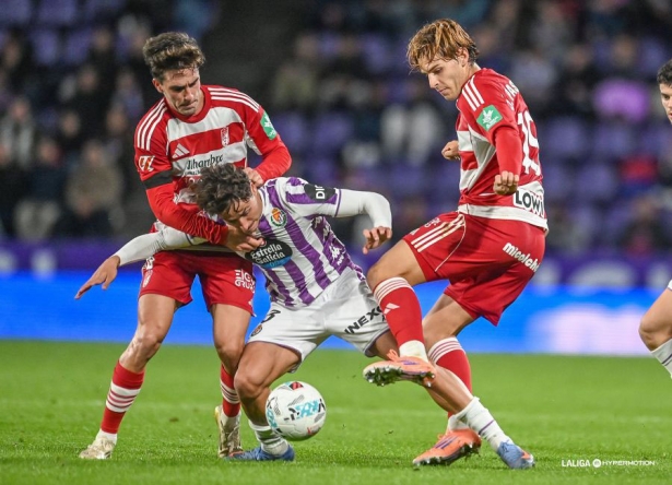 Pascual en una jugada del encuentro ante el Real Valladolid (LALIGA)
