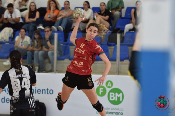 (BM CIUDAD DE GRANADA) (BM CIUDAD DE GRANADA)