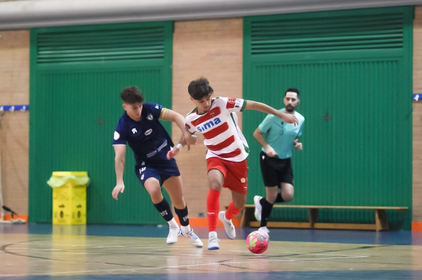 El Sima Granada quiere volver a la senda del triunfo (PRENSA GRFS