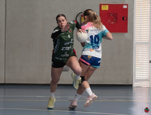 Intensa jornada para el balonmano granadino