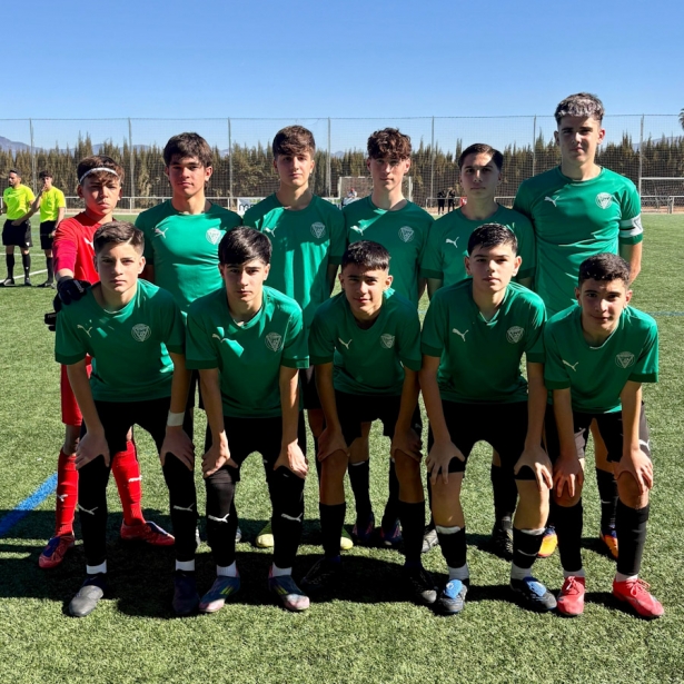 Infantil autonómico del CF Alhendín (CF ALHENDÍN)