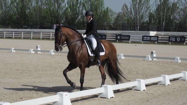 Prueba de hípica (UGR) Prueba de hípica (UGR)