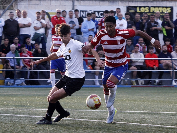 Owen fue el jugador más destacado del Granada CF (J. PALMA)