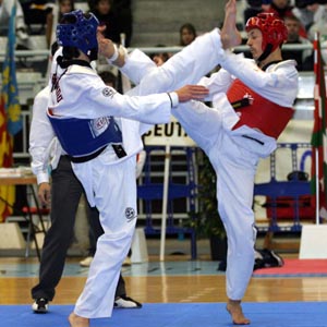 El Taekwondo granadino aspira a realizar un buen papel 
