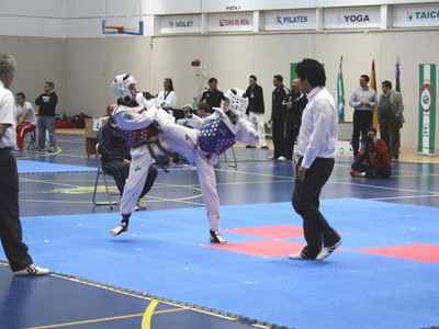 Taekwondo de gran nivel en Otura